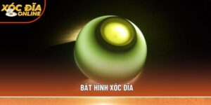 bát hình xóc đĩa