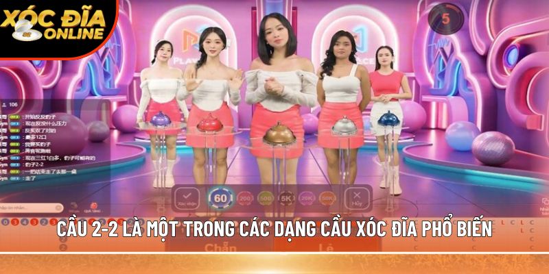 Cầu 2-2 là một trong các dạng cầu xóc đĩa phổ biến