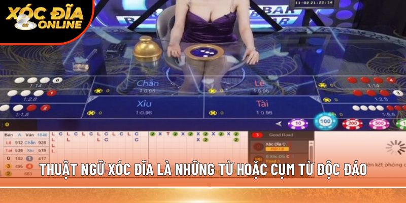 Thuật ngữ xóc đĩa là những từ hoặc cụm từ độc đáo