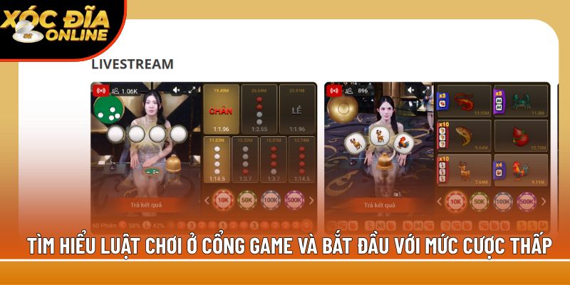 Tìm hiểu luật chơi ở cổng game và bắt đầu với mức cược thấp